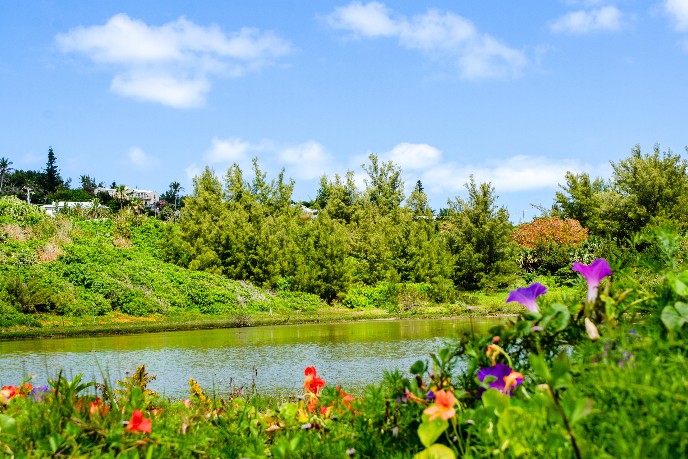 21_Spittal_Pond[1].webp